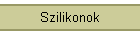 Szilikonok